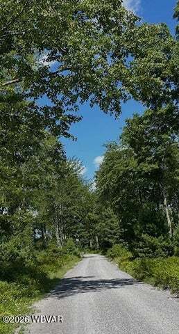 Beech Creek Mountain Rd, Beech Creek, PA for sale - Building Photo - Image 2 of 19