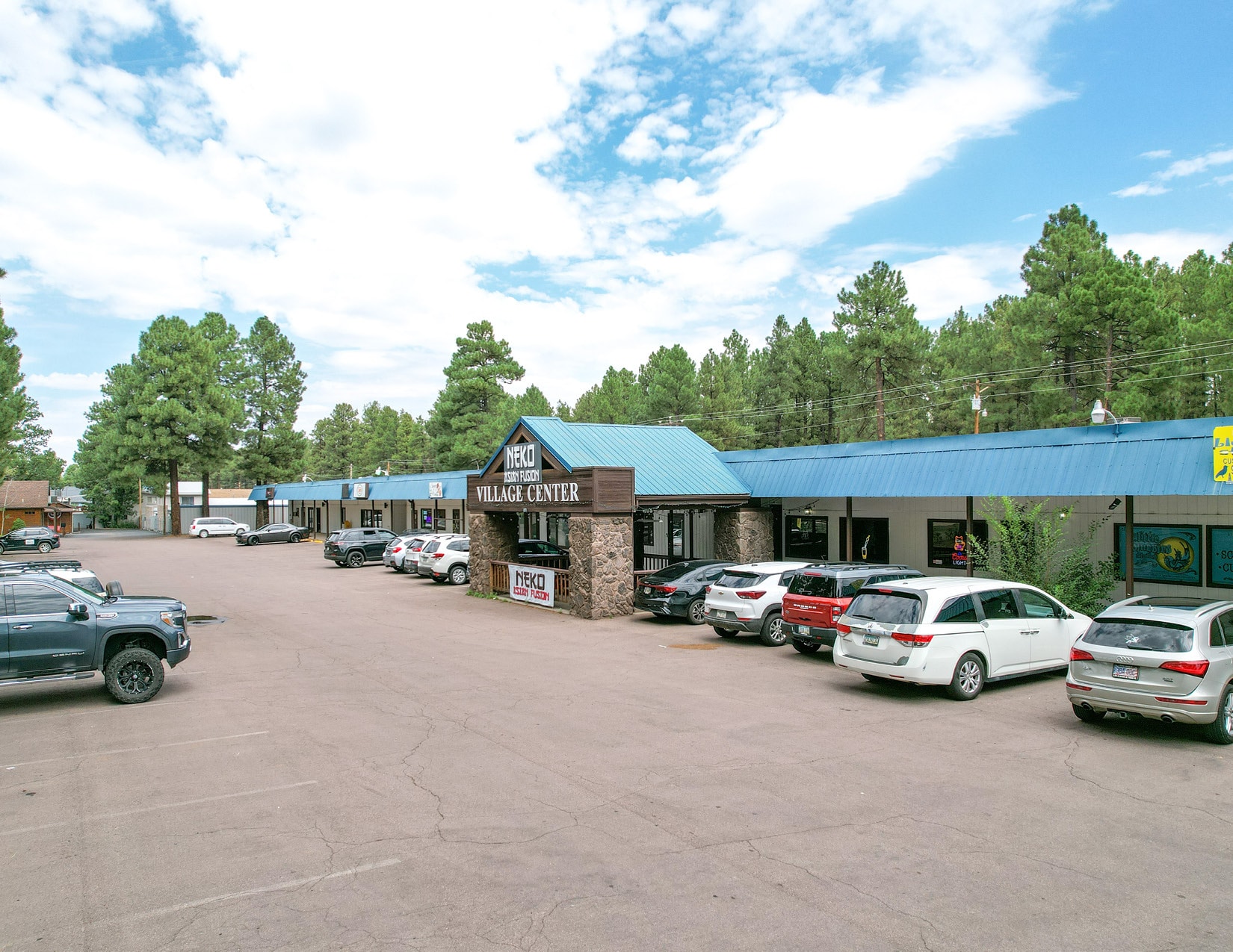 674 E White Mountain Blvd, Pinetop, AZ for sale Primary Photo- Image 1 of 29