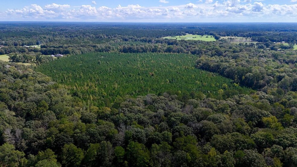 00 COUNTY LINE ROAD, Summit, MS for sale - Building Photo - Image 2 of 4