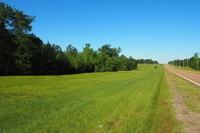 Hwy 18 And Dell Blvd, Brandon, MS à vendre - Photo principale - Image 1 de 4