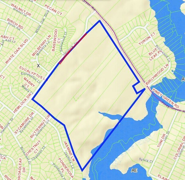 1200 Piney Green Rd, Jacksonville, NC à vendre - Photo du bâtiment - Image 2 de 2