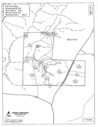 Plus de détails pour Buffalo Rd, Buena Vista, GA - Terrain à vendre