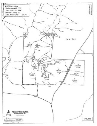 Plus de détails pour Buffalo Rd, Buena Vista, GA - Terrain à vendre