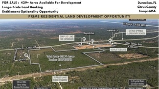 More details for 5181 W Dunklin St, Dunnellon, FL - Land for Sale