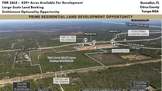 Plus de détails pour 5181 W Dunklin St, Dunnellon, FL - Terrain à vendre