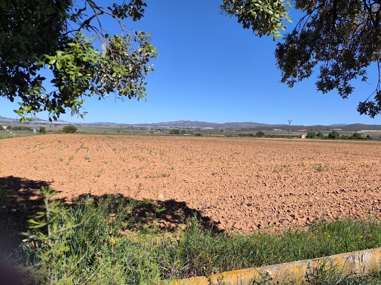 Land in Yecla, Murcia for sale - Aerial - Image 1 of 4