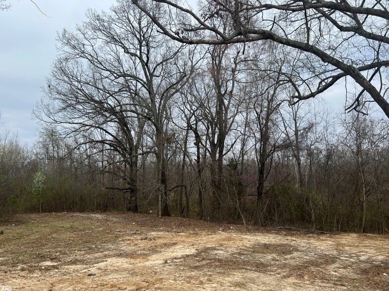 0 Singleton, Memphis, TN à vendre - Aérien - Image 2 de 15