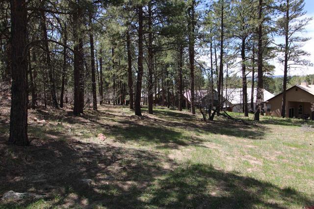 2090 County Road 600, Pagosa Springs, CO à vendre - Photo principale - Image 1 de 3