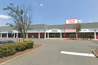 Plus de détails pour 295-335 Princeton Hightstown Rd, West Windsor, NJ - Bureau/Commerce de détail à louer