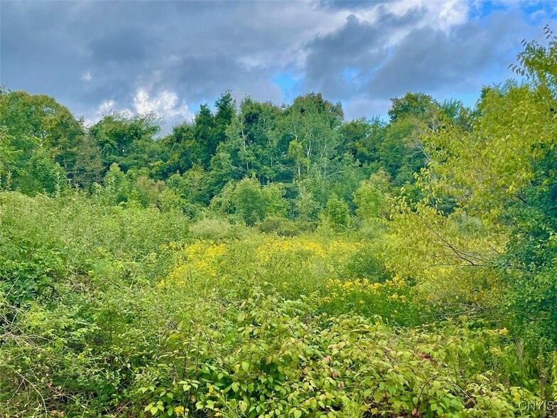 Maiden Lane Rd, Oswego, NY for sale - Building Photo - Image 3 of 8