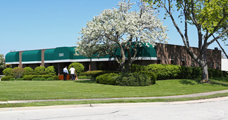 More details for 390 E Higgins Rd, Elk Grove Village, IL - Office for Lease