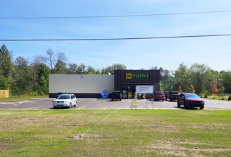 More details for 685 I-75BL Loop, Grayling, MI - Retail for Sale