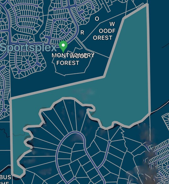 110 Cadence Ct, Montgomery, TX à vendre - Aérien - Image 2 de 8