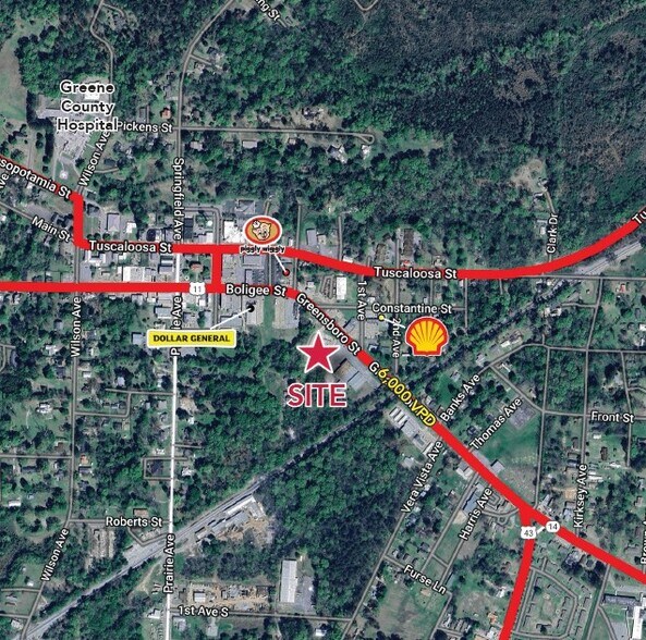 206 Greensboro St, Eutaw, AL à louer - Photo du bâtiment - Image 2 de 2