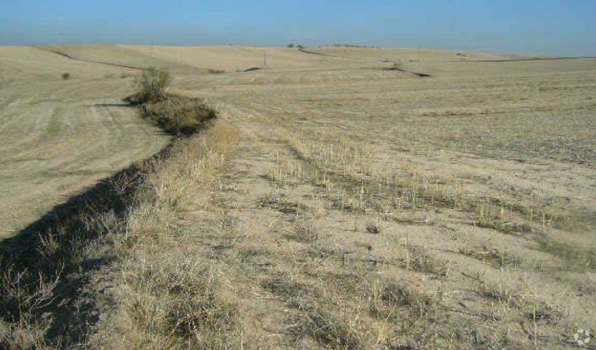Land in Moraleja de Enmedio, Madrid for sale Primary Photo- Image 1 of 9