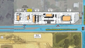 Plus de détails pour NWC of State Road 52 & Curley Rd, San Antonio, FL - Terrain à louer