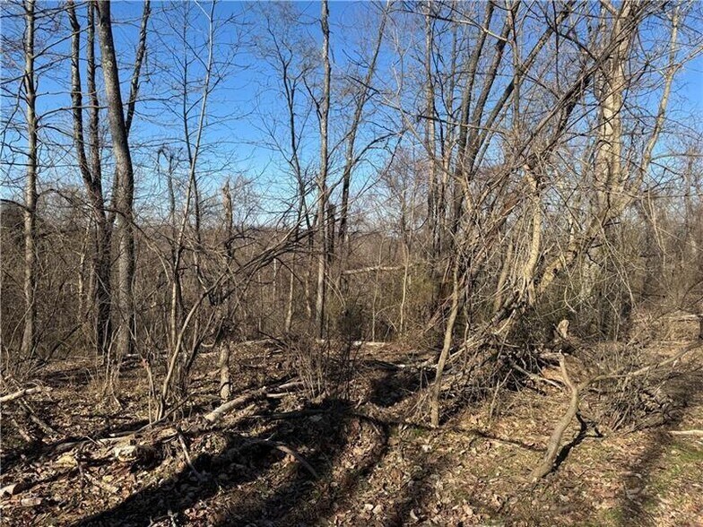 0 Fallen Timber rd, Avella, PA à vendre - Photo du bâtiment - Image 2 de 12