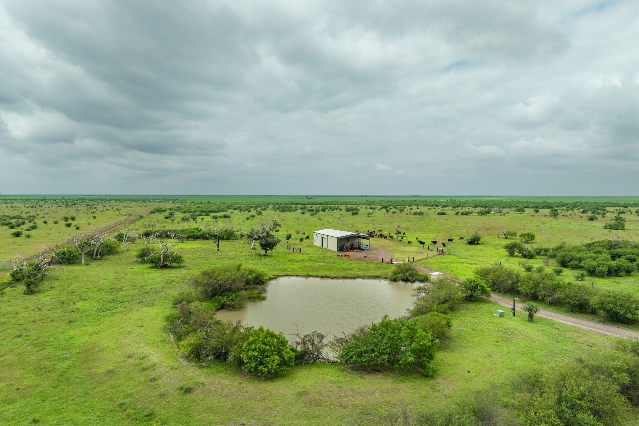 1038 FM 1360, Woodsboro, TX for sale Building Photo- Image 1 of 30