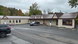 Plus de détails pour 1212 E M-36, Pinckney, MI - Commerce de détail à vendre
