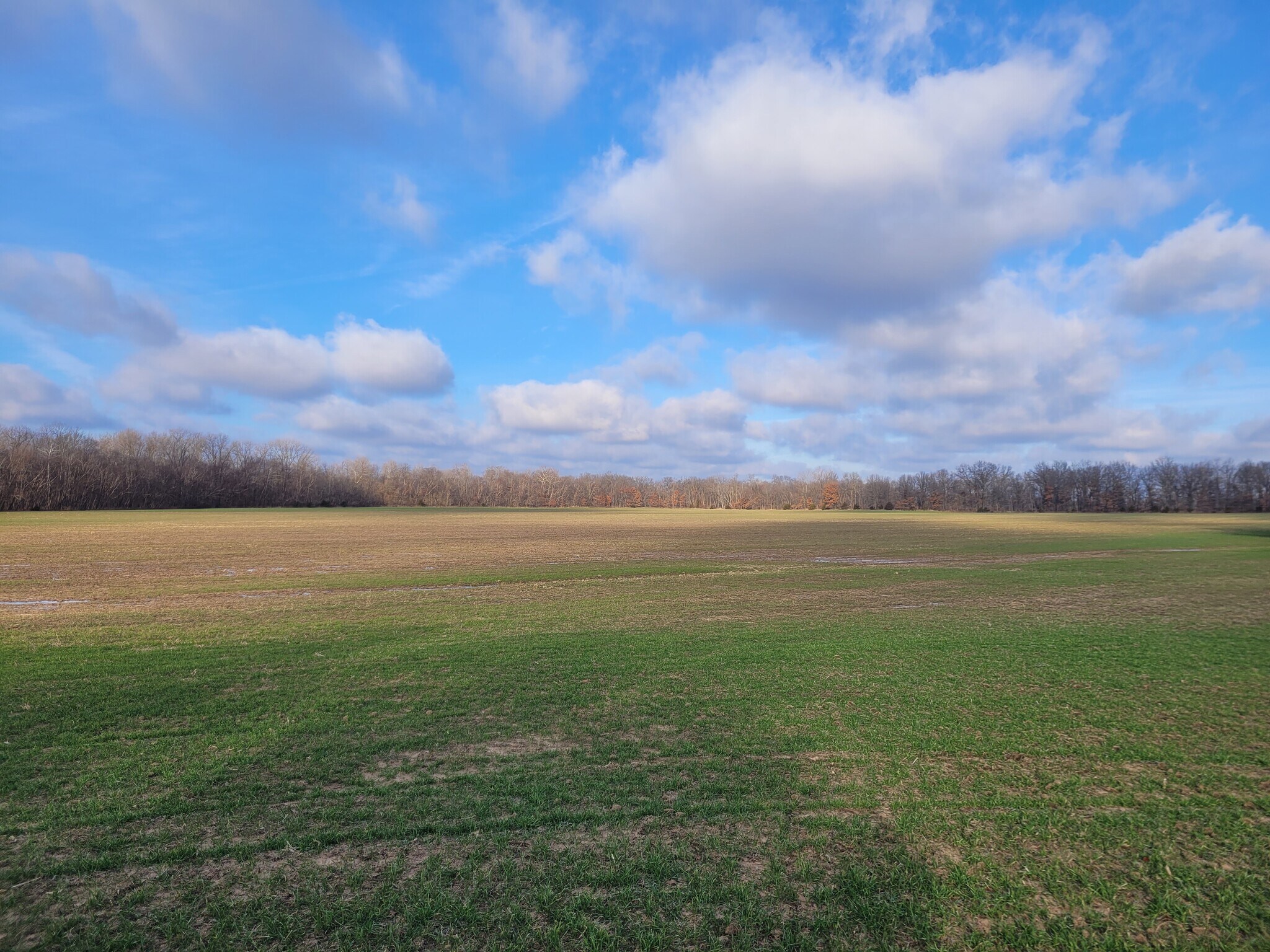 Bales Rd. (81.80+/- Acres), Middletown, MO à vendre Autre- Image 1 de 47