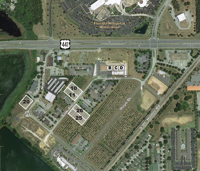 Nightingale Ln, Tavares, FL à vendre - Aérien - Image 2 de 5