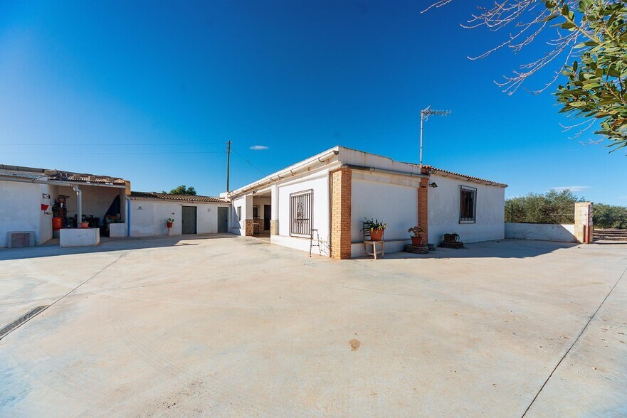 Polígono 4, 124, Aspe, Alicante à vendre - Photo du bâtiment - Image 2 de 37