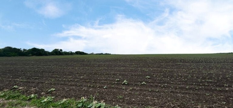 CR 48, 54.166 AC, Robstown, TX for sale - Building Photo - Image 2 of 4