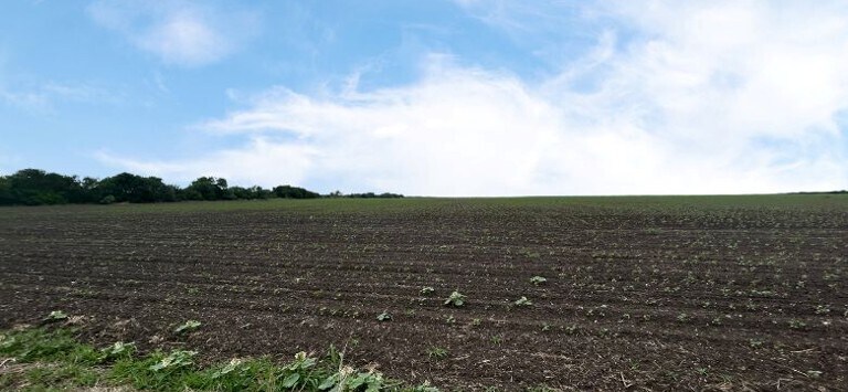 CR 48, 54.166 AC, Robstown, TX à vendre - Photo du bâtiment - Image 2 de 4