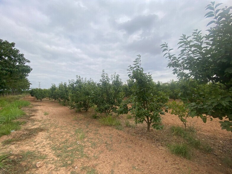 Mataburres, Carlet, Alrededores, Carlet, Valencia for sale - Building Photo - Image 2 of 10