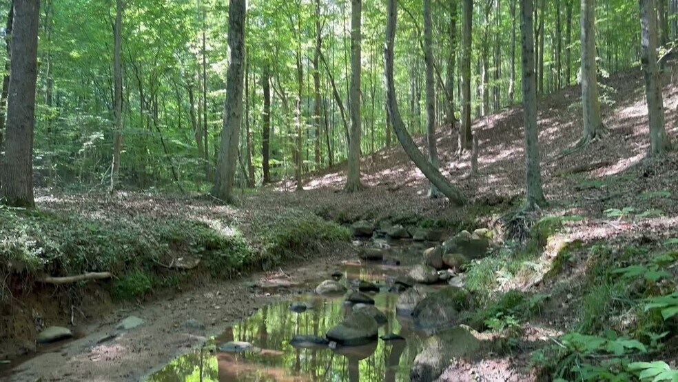 400 Eden Church rd, Madison, NC for sale - Commercial Listing Video - Image 2 of 38