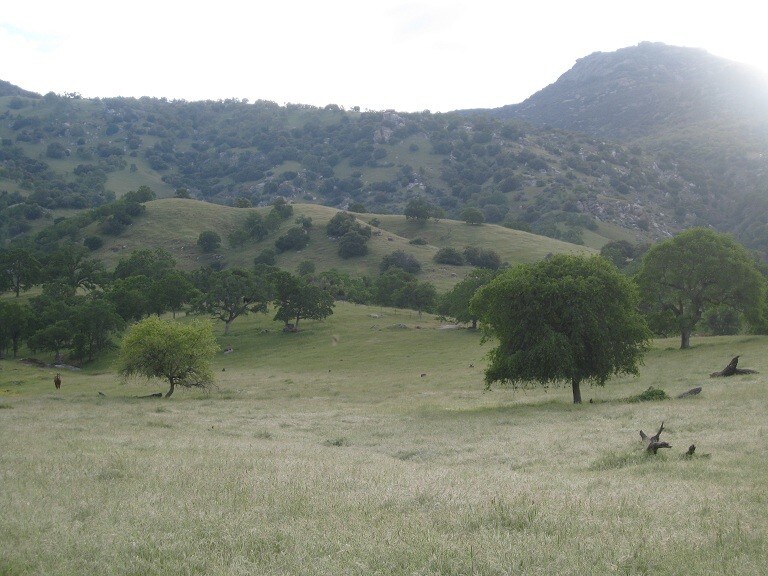 37096 Yokohl Dr, Exeter, CA à vendre Autre- Image 1 de 13