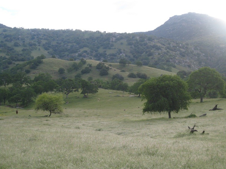 37096 Yokohl Dr, Exeter, CA for sale Other- Image 1 of 13