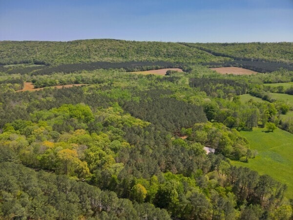 0 S Sauty Rd, Langston, AL for sale - Building Photo - Image 1 of 7