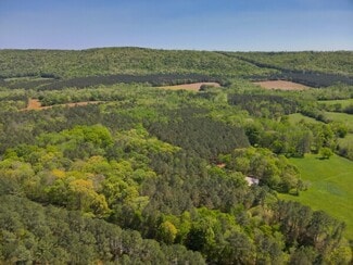 More details for 0 S Sauty Rd, Langston, AL - Land for Sale