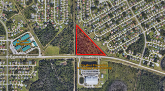 More details for N Side Of Chestnut St, Kissimmee, FL - Land for Sale