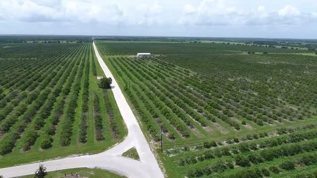 5015 Fish Branch Rd, Zolfo Springs, FL à vendre - Vidéo sur l’inscription commerciale - Image 2 de 20