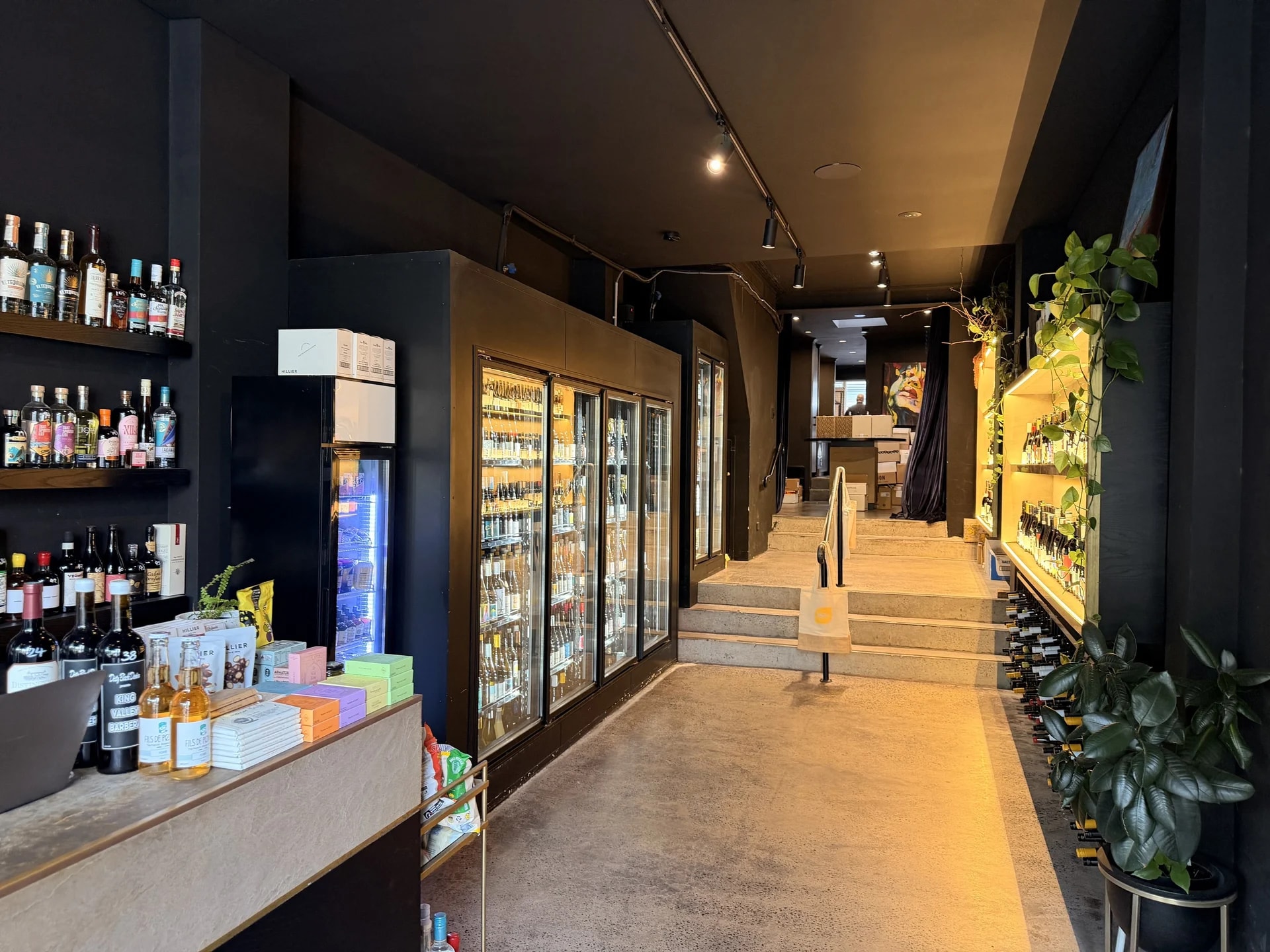 479 Crown St, Surry Hills for lease Interior Photo- Image 1 of 3