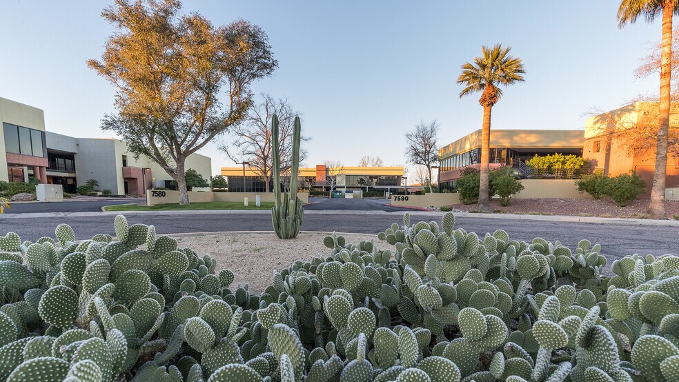7585-7595 E Redfield Rd, Scottsdale, AZ à louer - Photo du bâtiment - Image 2 de 12
