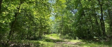 Wilkinsville Highway, Gaffney, SC for sale - Building Photo - Image 2 of 3