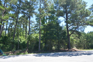 More details for 907 Old Marion hwy, Florence, SC - Land for Sale