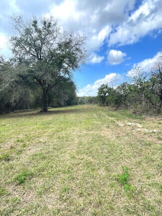 Plus de détails pour 16982 SE Highway 42, Weirsdale, FL - Terrain à vendre