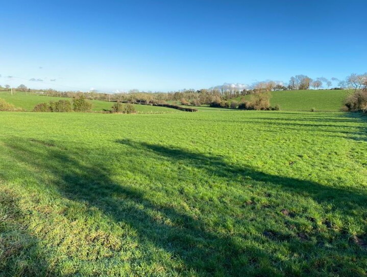 Baltarran Rd, Armagh à vendre - Photo du bâtiment - Image 1 de 1