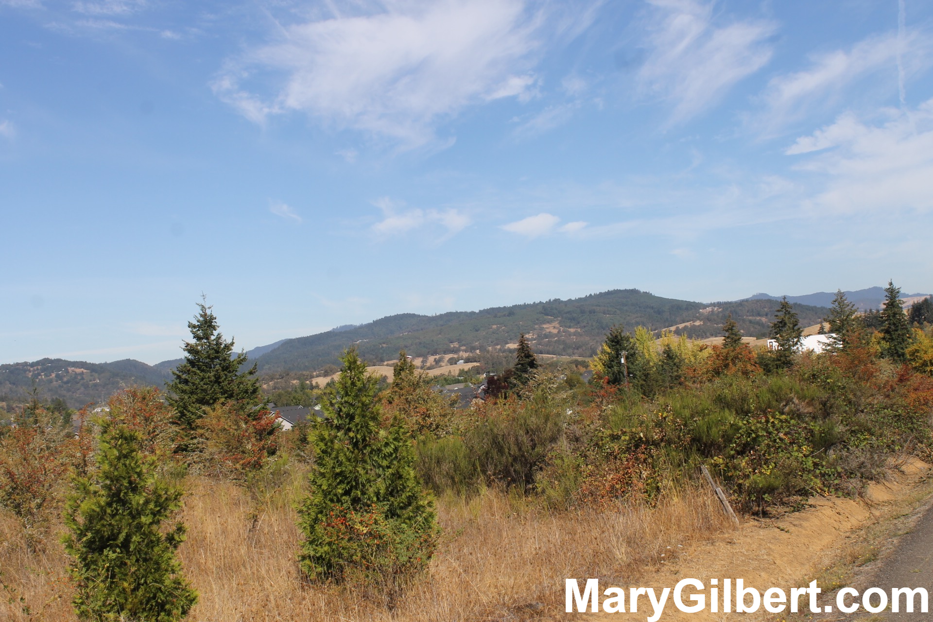 0 Fort McKay Rd, Sutherlin, OR à vendre Photo principale- Image 1 de 1