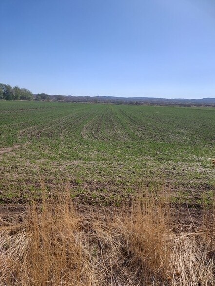 10 County Road 91, Socorro, NM for sale - Other - Image 2 of 5