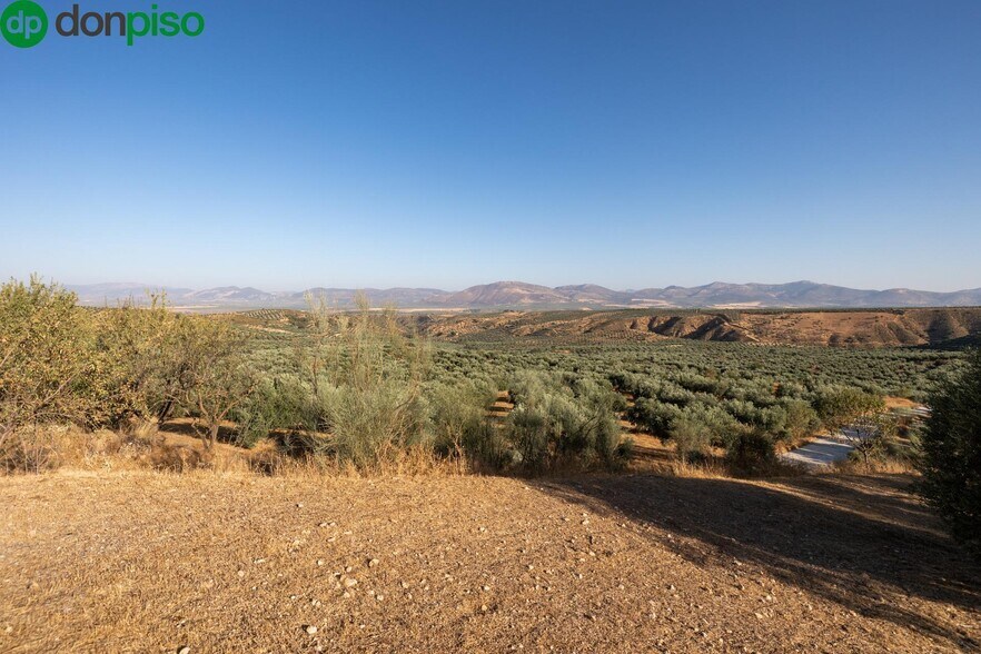 Calle Altillo Alto, Cogollos de la Vega, Granada for sale - Building Photo - Image 3 of 17