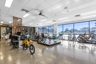 488 Lutwyche Road, Lutwyche for lease Interior Photo- Image 1 of 2