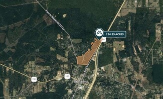 More details for N Byrd Ave & US 59, Shepherd, TX - Land for Sale