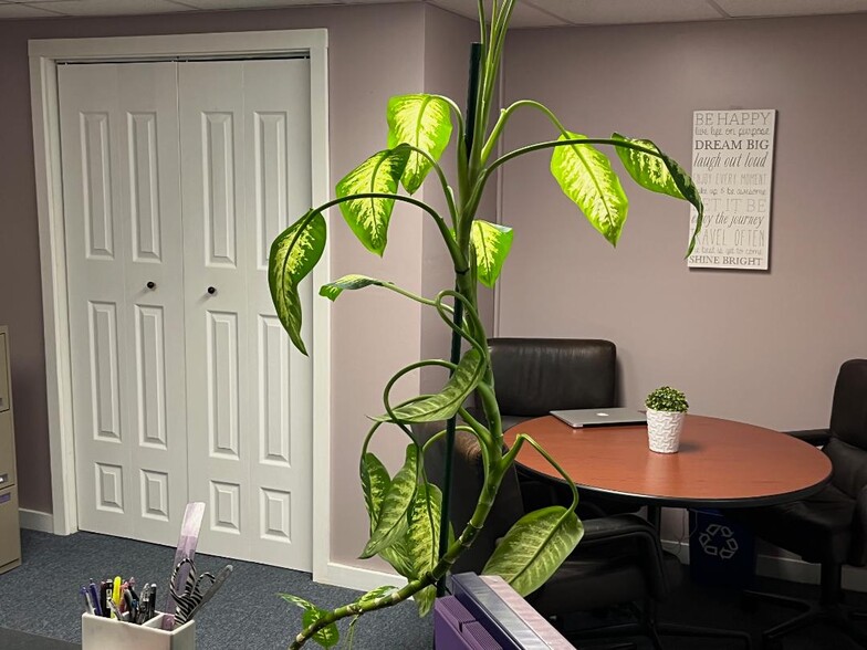 284 Merrow Rd, Tolland, CT à vendre - Photo intérieure - Image 3 de 37