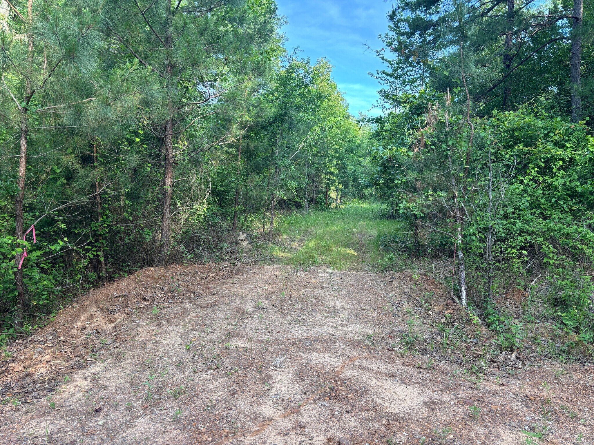 TBD Willie Reed Road, Jefferson, TX à vendre Photo principale- Image 1 de 7