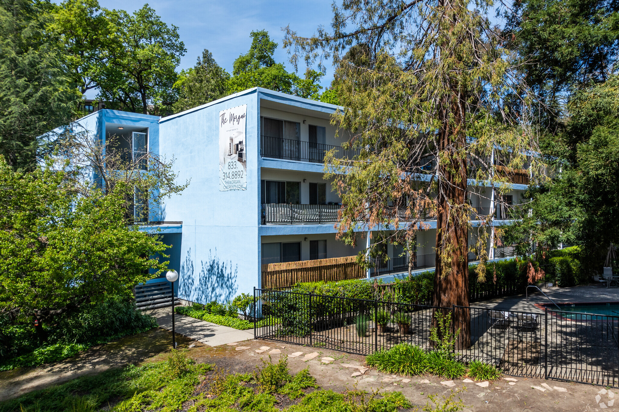 3686 Mt Diablo Blvd, Lafayette, CA for sale Primary Photo- Image 1 of 1